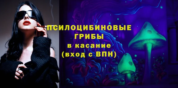 соль ск Алексеевка