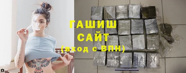 гашик Алексин