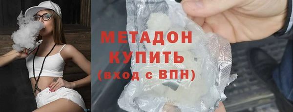 гашик Алексин