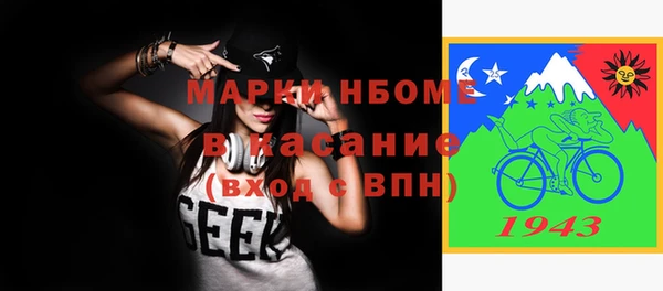 гашик Алексин