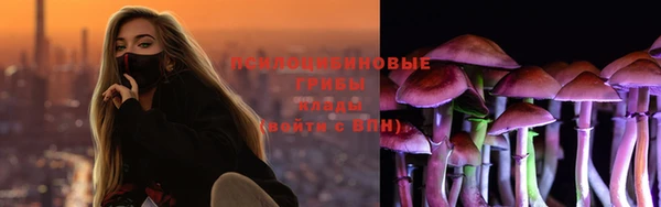 гашик Алексин