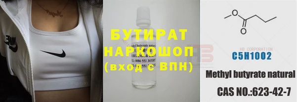 гашик Алексин