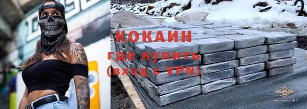 гашик Алексин