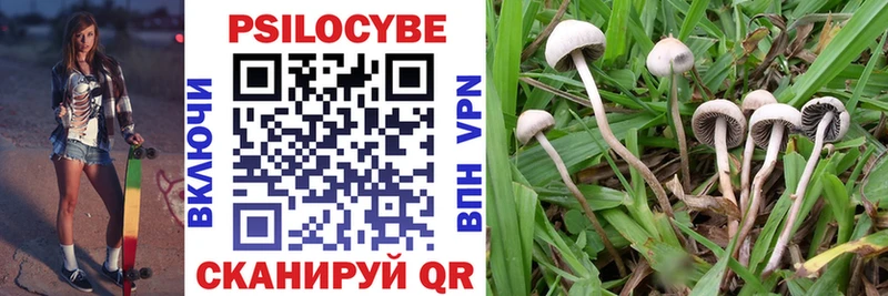 Псилоцибиновые грибы мицелий  где купить   Карабулак 